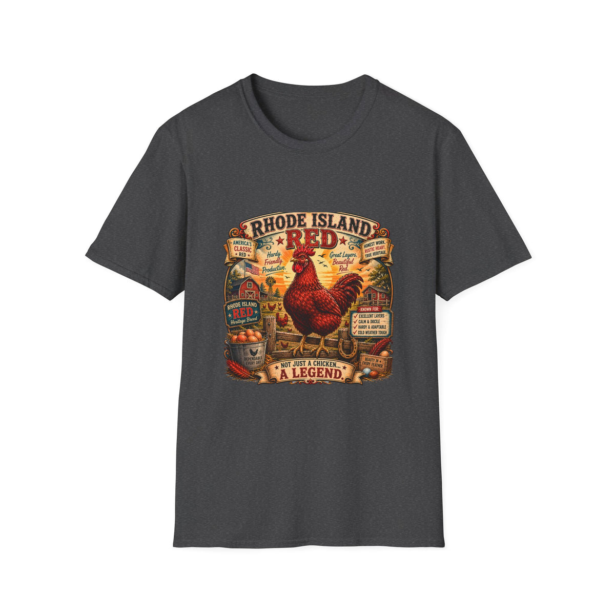 America's Classic Red Rhode Island Red T-shirt, photo 7