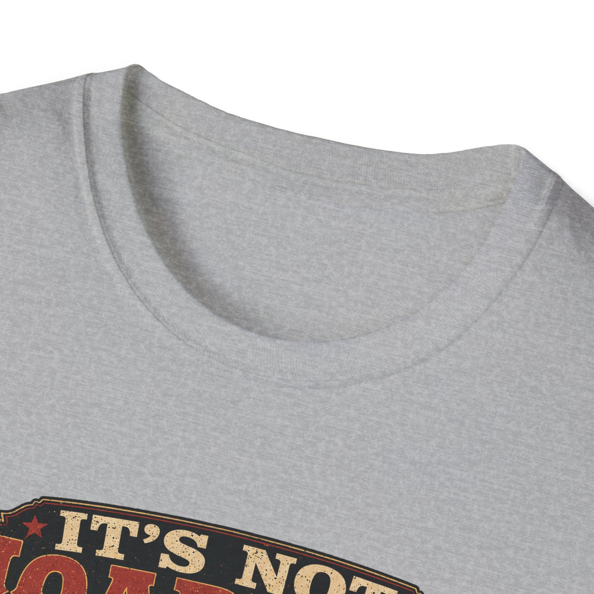 It's Not Hoarding If They Lay Eggs T-Shirt — How Did We Get Here Tee