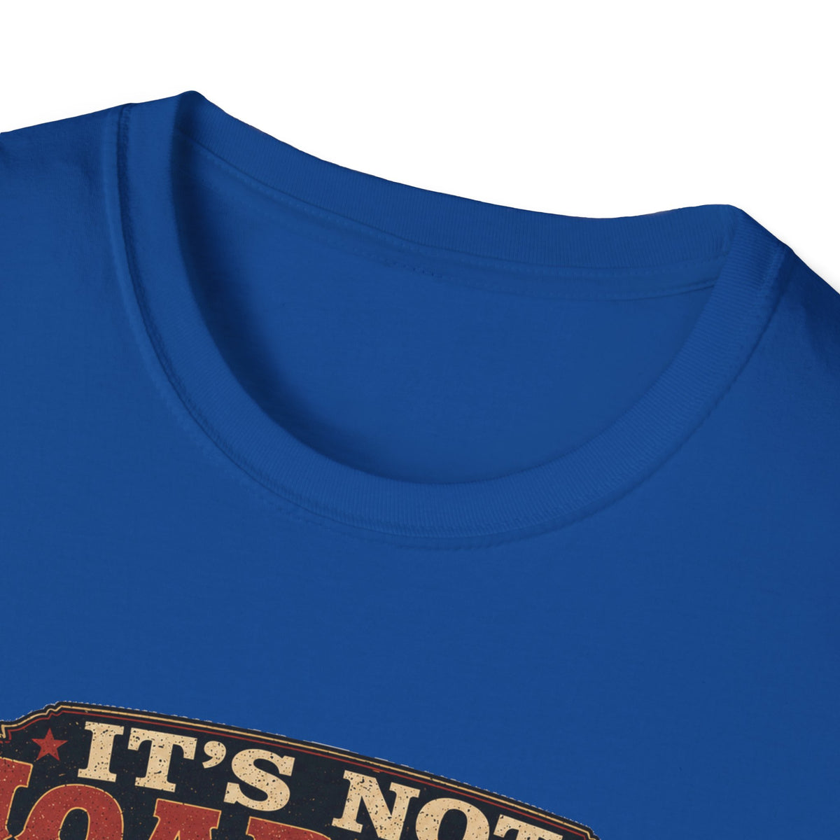 It's Not Hoarding If They Lay Eggs T-Shirt — How Did We Get Here Tee