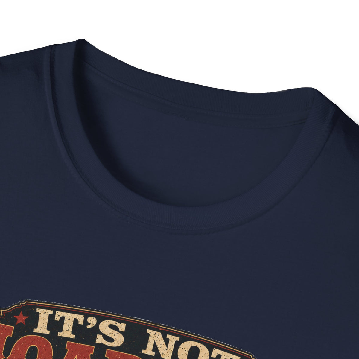 It's Not Hoarding If They Lay Eggs T-Shirt — How Did We Get Here Tee