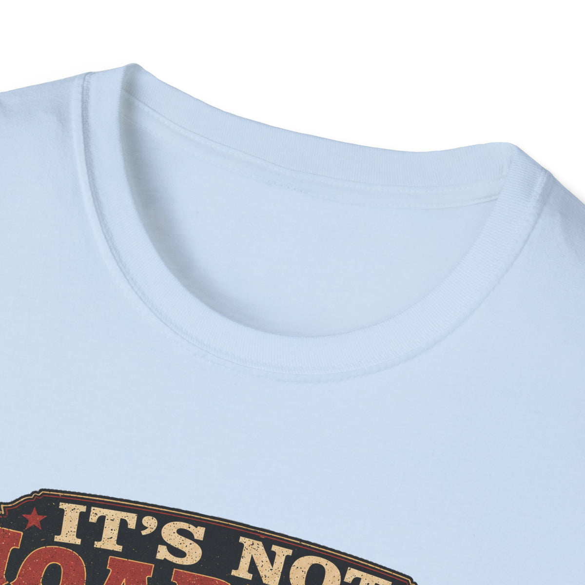 It's Not Hoarding If They Lay Eggs T-Shirt — How Did We Get Here Tee