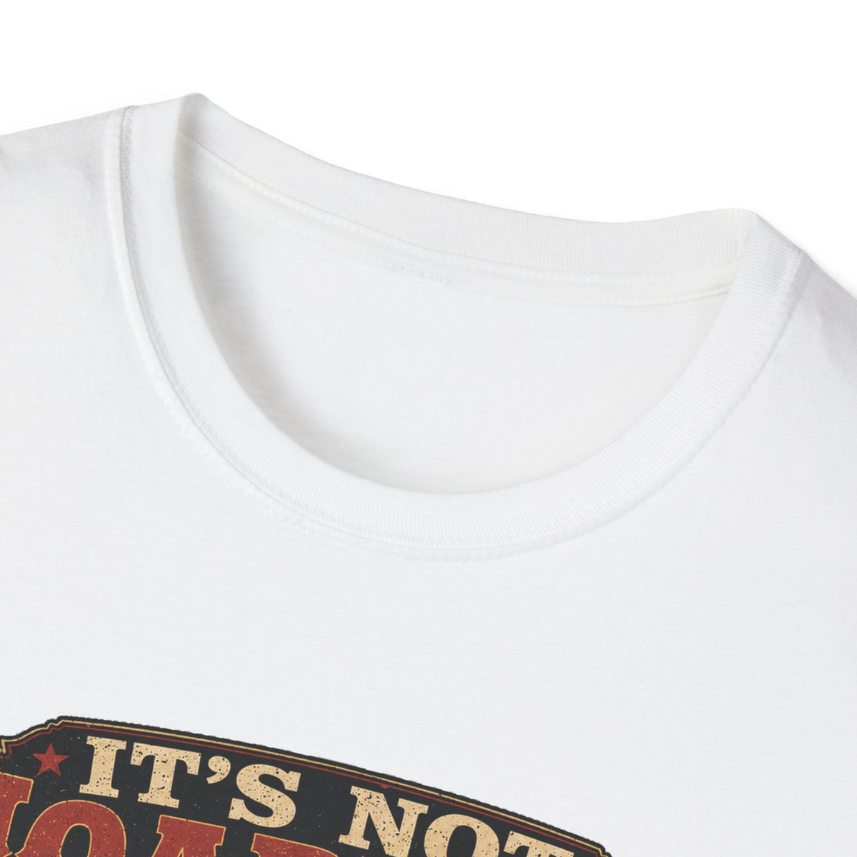 It's Not Hoarding If They Lay Eggs T-Shirt — How Did We Get Here Tee