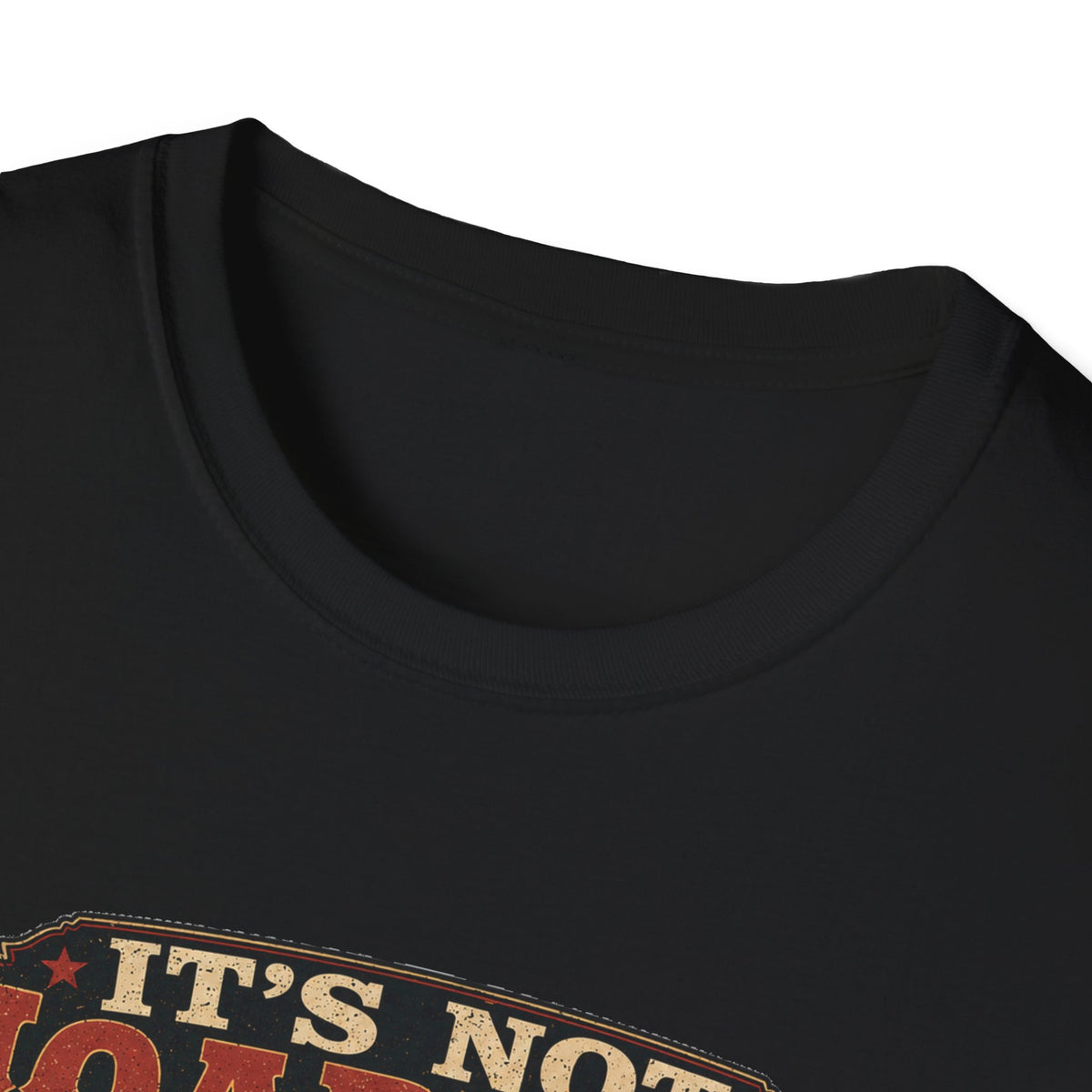 It's Not Hoarding If They Lay Eggs T-Shirt — How Did We Get Here Tee