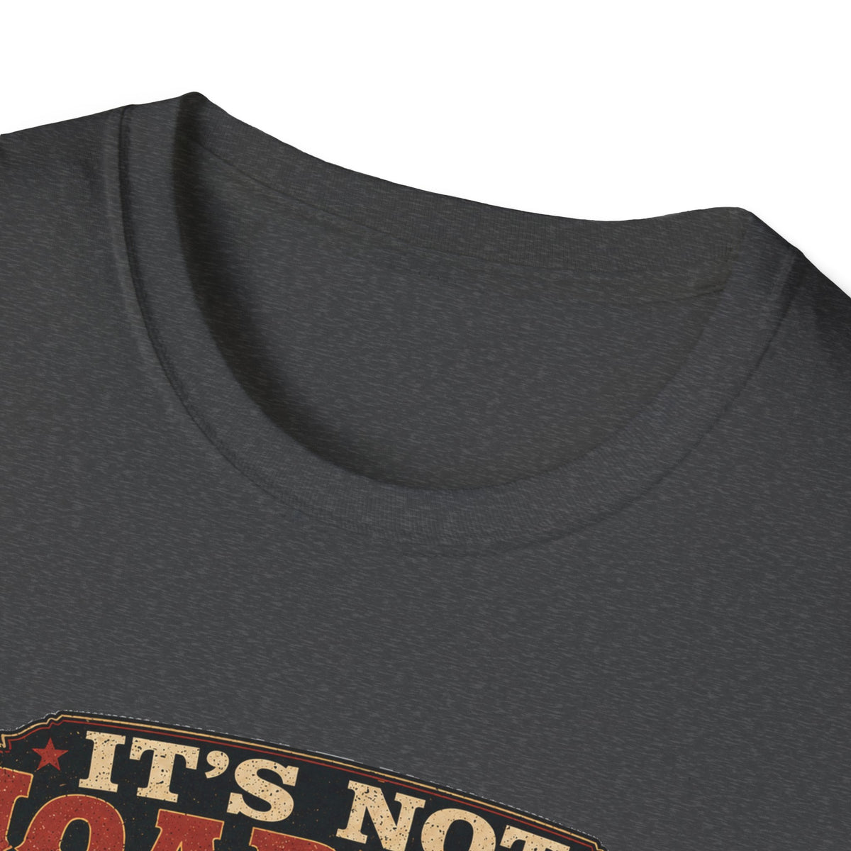 It's Not Hoarding If They Lay Eggs T-Shirt — How Did We Get Here Tee